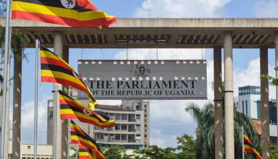 Parliamentary Committee Summons Minister
