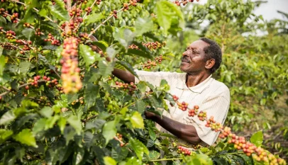 35 Billion Earmarked for Coffee Farmer Registration