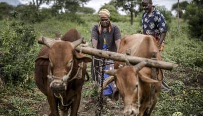 Uganda Secures $49.5 Million Grant for Climate Change Adaptation in Cattle Corridor