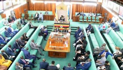 190M Dollar Loan for Umeme Buyout Puzzles MPs