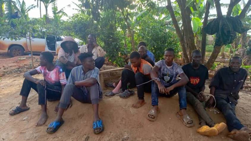 Forests Under Siege NFA Cracks Down on Illegal Logging in Mabira