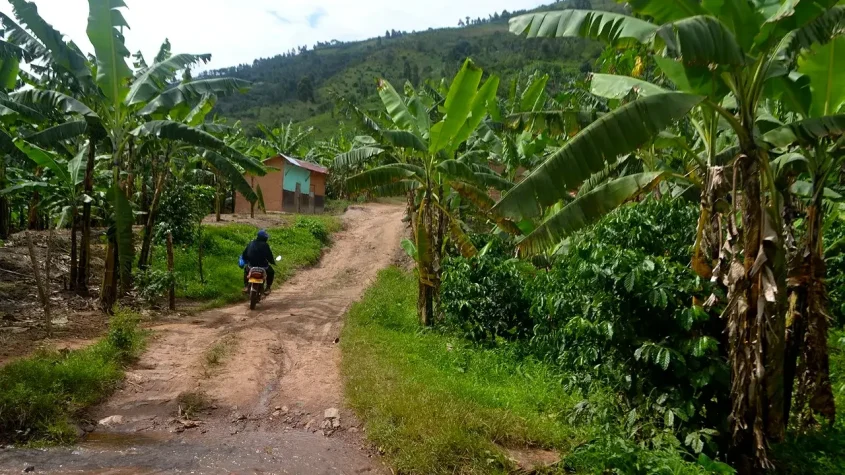 Court of Appeal Upholds 28 years for Boda Boda Rapist