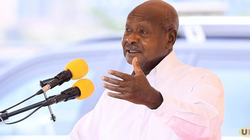 M7 Orders Audit of NRA Veterans' Compensation Funds