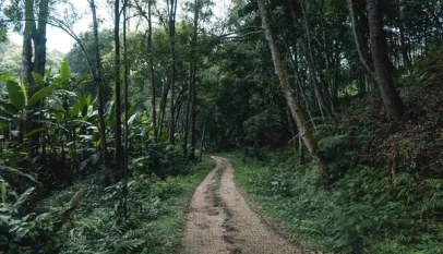 Senior Three Student Commits Suicide in Fort Portal