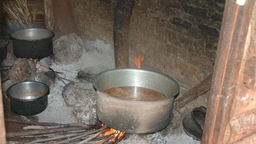 Experts Blame Firewood for Increase in Lung Cancer among Ugandan Women