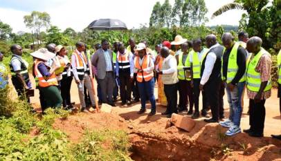 Lugave Clan Demands Ugx 650m to Move Sacred Tree Blocking Ntenjeru–Bule Road Works