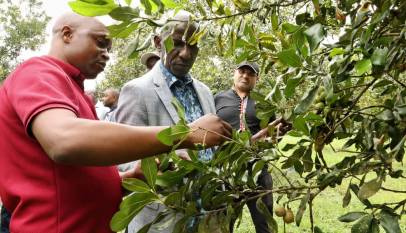 NARO partners with Industrialists to Advance Uganda's Agro-Industrialisation Agenda