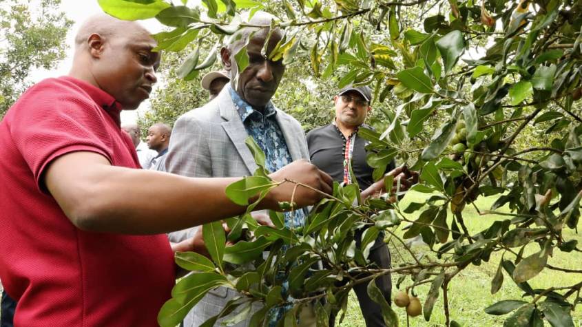 NARO partners with Industrialists to Advance Uganda's Agro-Industrialisation Agenda