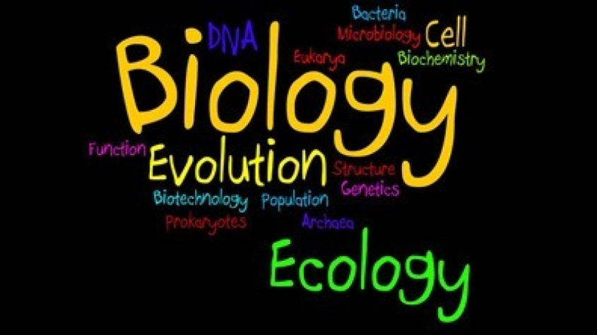 Makerere Claims Credit for Improved Biology Performance in National Examinations