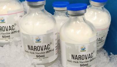 Museveni To Commission Uganda's Anti-Tick Vaccine Production