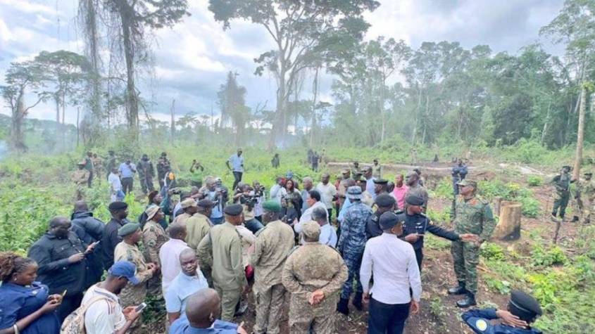 Gov’t Hands Over Bugoma Central Forest Reserve to UWA