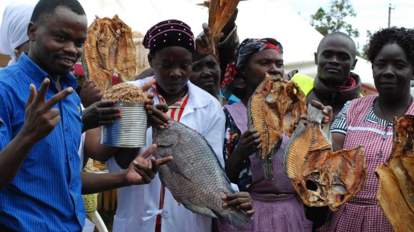 Female Fish Traders Raise Alarm Over Rising Harassment, Corruption, and Trade Barriers
