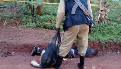 Police Arrest Suspect Over Teen’s Death in Butaleja
