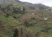 Landslides Kill Two Injures Two Others in Kisoro