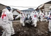 DRC Red Cross Condemns Killing of Two Volunteers