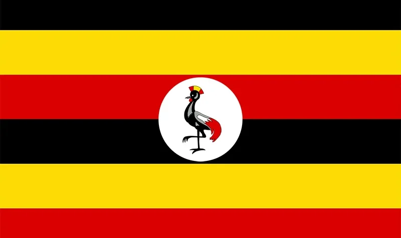 Uganda Has Eliminated Endogenous Cholera, New Study Finds