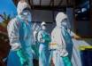 Current Ebola Threat is from Fresh Wildlife Spillover