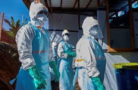 Current Ebola Threat is from Fresh Wildlife Spillover
