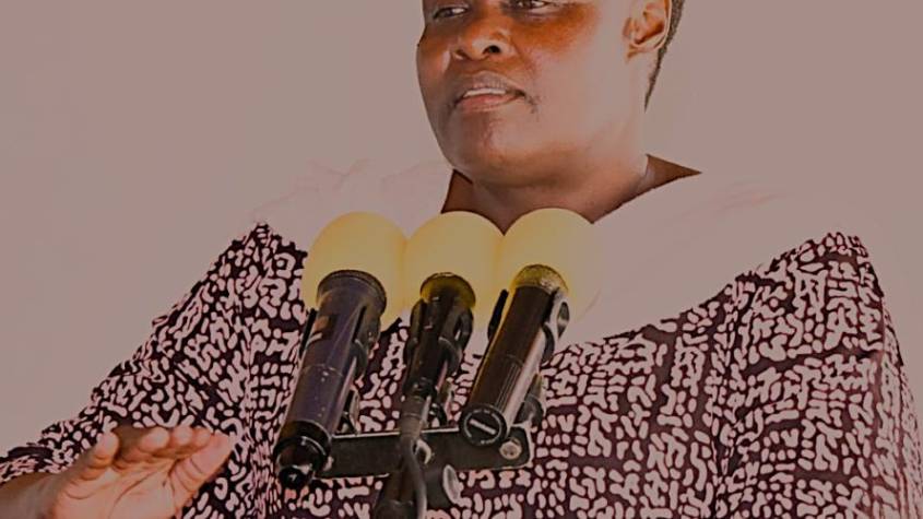 Alupo Warns Against Sabotaging Cattle Rehabilitation Program