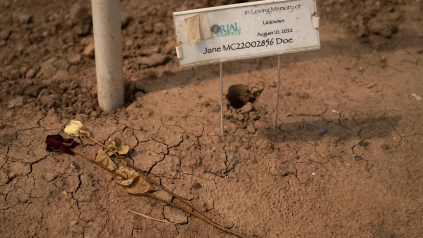 Over Forty Ugandan Workers Die Overseas in Five Months