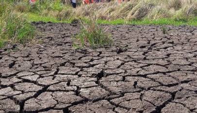 Parliament Unanimously Backs Urgent Government Action on Worsening Drought Crisis