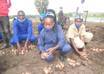 Tanna Urges Youth to Embrace Agriculture