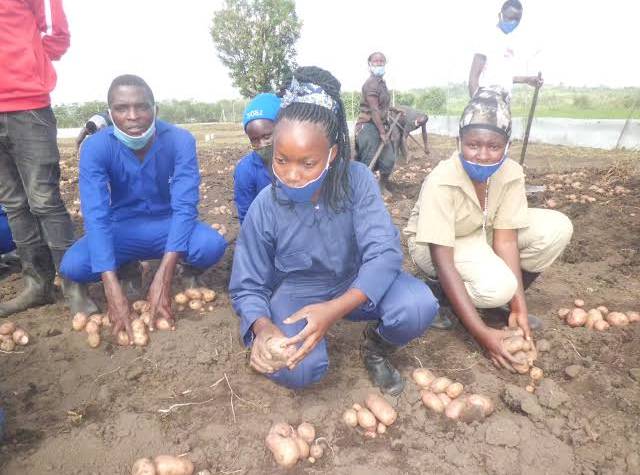 Tanna Urges Youth to Embrace Agriculture