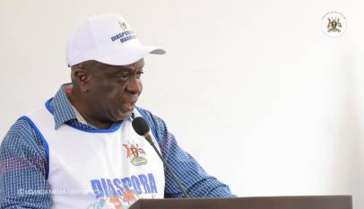 The government is developing a diaspora policy
