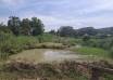 Residents Demand Transparency in Wetland Enforcement Amid Corruption Allegations in Kajjansi and Katabi
