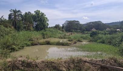 Residents Demand Transparency in Wetland Enforcement Amid Corruption Allegations in Kajjansi and Katabi