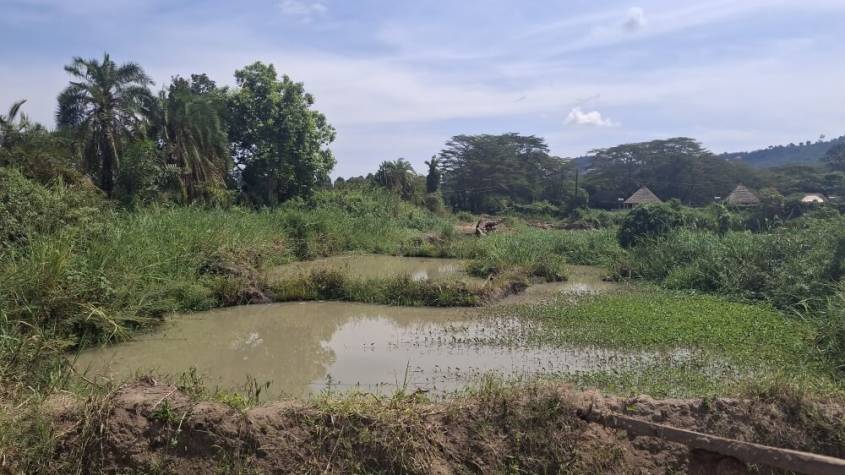 Residents Demand Transparency in Wetland Enforcement Amid Corruption Allegations in Kajjansi and Katabi