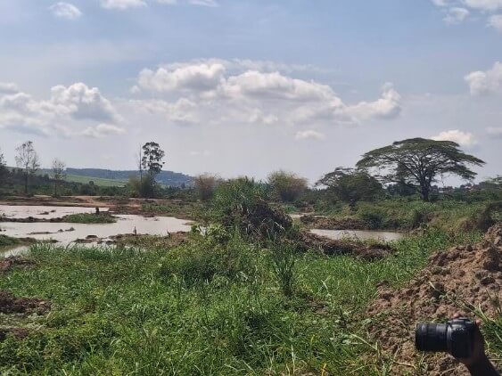 Kajjansi and Katabi Wetland (4)