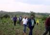 MPs Demand Revival Of Stalled Government Sericulture Projects