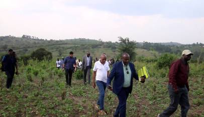MPs Demand Revival Of Stalled Government Sericulture Projects