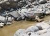 Nyamwamba River Floods Parts of Kasese Town