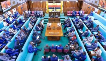 Parliament Challenges US$434 Million Proposal for Dei BioPharma