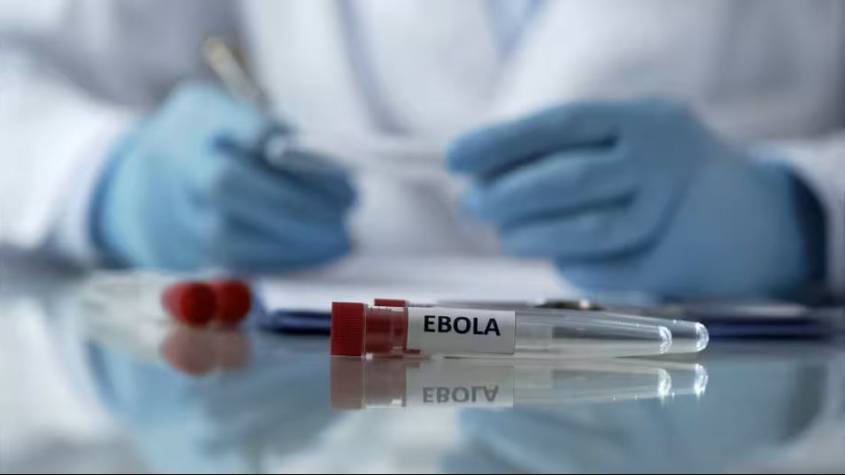 WHO Supports Nigeria After First Ebola Bundibugyo Case Detected